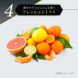 画像5: ＜プロズビ＞ VITAMIN C エマルジョン 500mL (5)